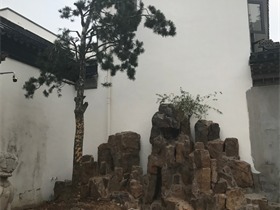 簡約其它其它實(shí)景圖